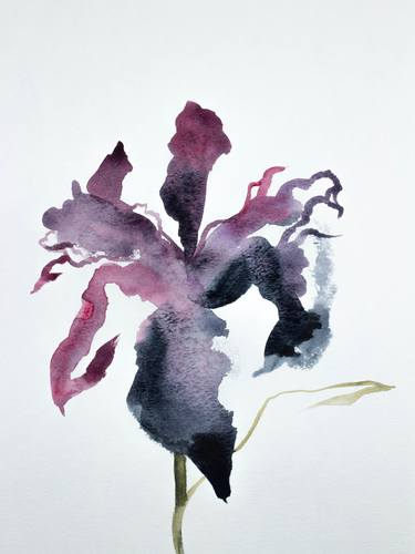 Print of Abstract Floral Paintings by Elizabeth Becker