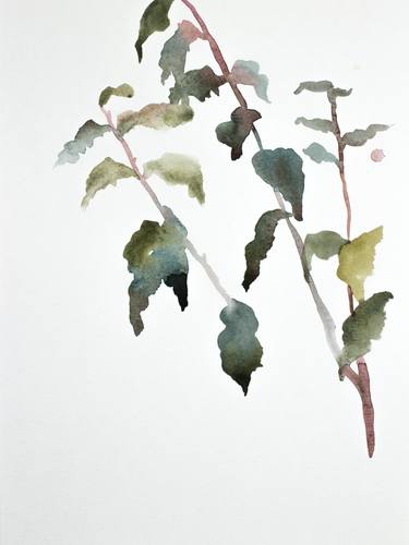 Original Abstract Botanic Paintings by Elizabeth Becker