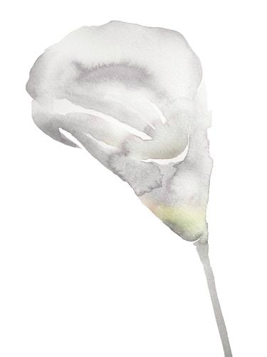 Calla Lily No. 8 thumb