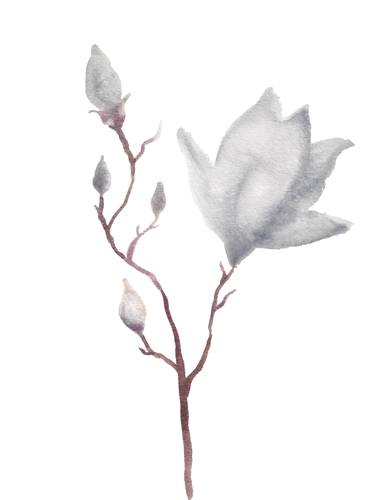 Magnolia No. 8 thumb