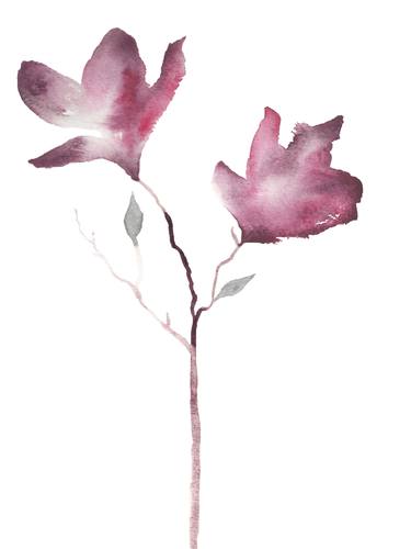 Original Floral Paintings by Elizabeth Becker