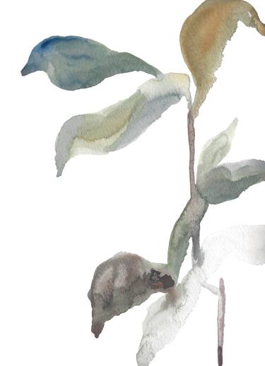 Original Modern Botanic Paintings by Elizabeth Becker