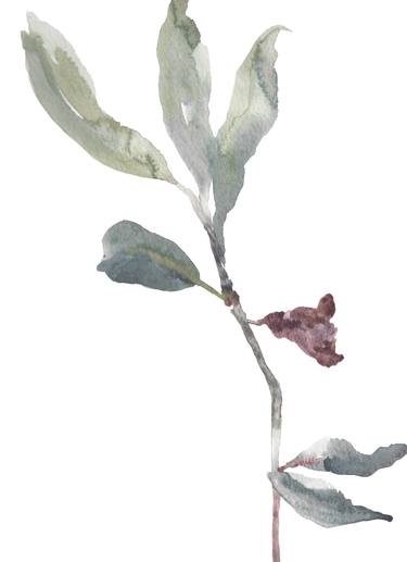 Original Abstract Botanic Paintings by Elizabeth Becker