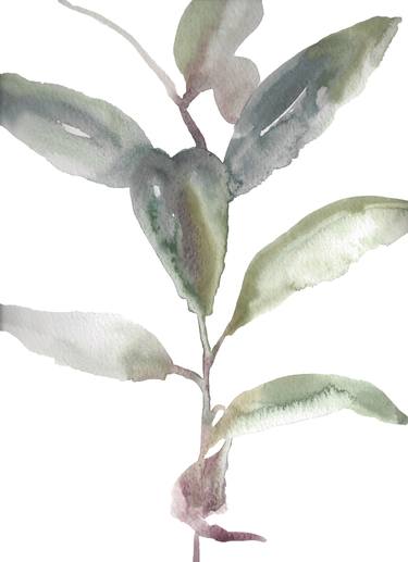 Rhododendron Study No. 5 thumb