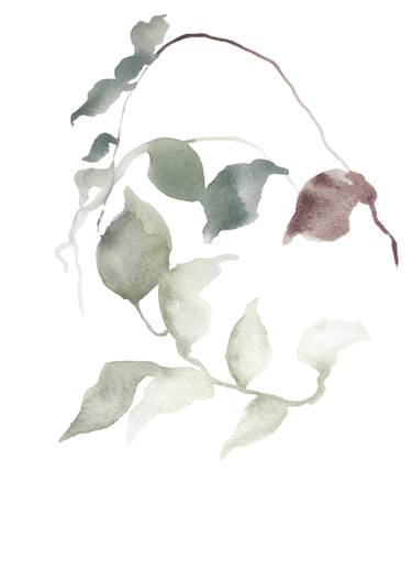 Original Botanic Paintings by Elizabeth Becker