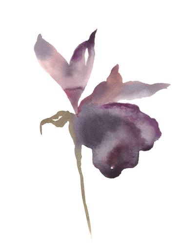 Original Floral Paintings by Elizabeth Becker