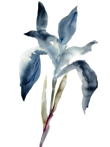 Print of Abstract Expressionism Botanic Paintings by Elizabeth Becker