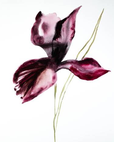 Print of Abstract Floral Paintings by Elizabeth Becker