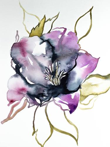 Print of Floral Paintings by Elizabeth Becker