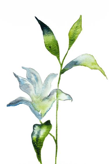 Original Botanic Paintings by Elizabeth Becker