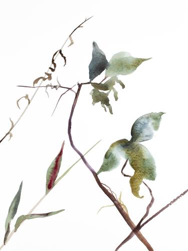 Original Abstract Botanic Paintings by Elizabeth Becker