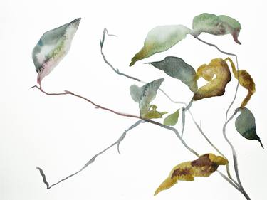 Print of Nature Paintings by Elizabeth Becker