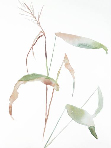 Print of Abstract Botanic Paintings by Elizabeth Becker