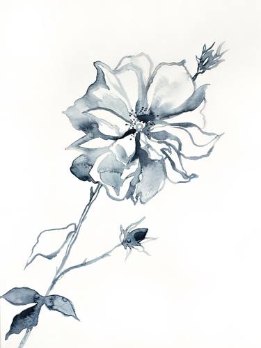 Original Abstract Botanic Paintings by Elizabeth Becker