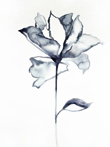 Original Botanic Paintings by Elizabeth Becker