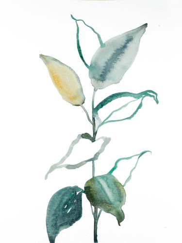 Print of Botanic Paintings by Elizabeth Becker