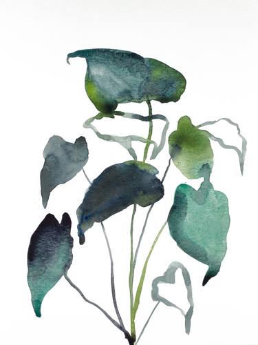 Print of Botanic Paintings by Elizabeth Becker