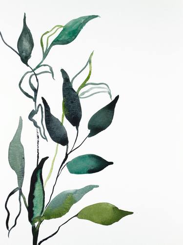 Print of Minimalism Botanic Paintings by Elizabeth Becker