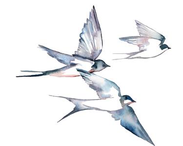 Swallows in Flight No. 24 thumb