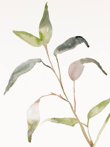 Original Minimalism Botanic Paintings by Elizabeth Becker