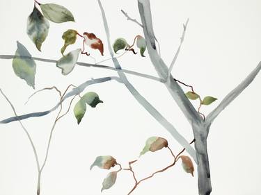 Original Tree Paintings by Elizabeth Becker
