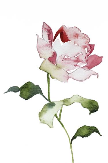 Original Botanic Paintings by Elizabeth Becker