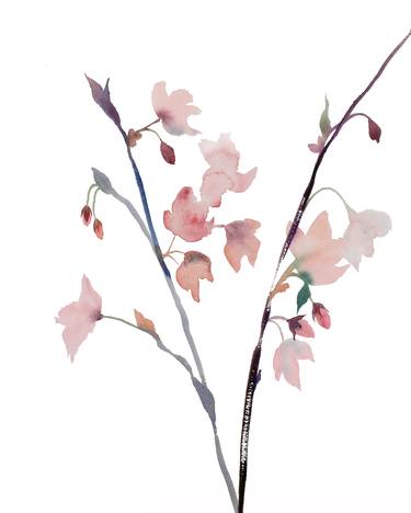 Original Botanic Paintings by Elizabeth Becker