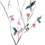 Collection Style Trend: Grandmillennial