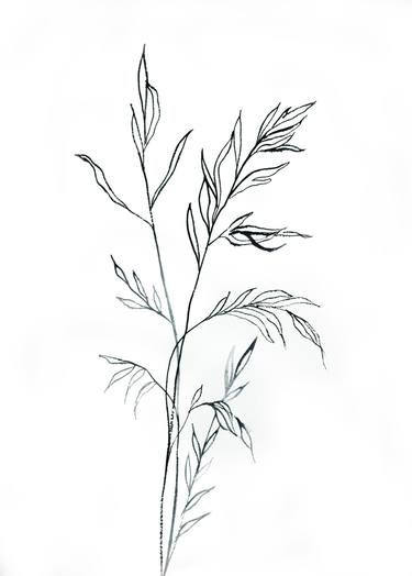 Print of Minimalism Botanic Paintings by Elizabeth Becker