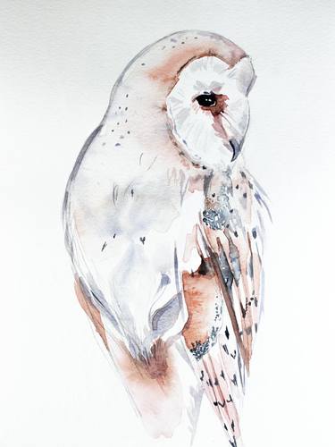 Barn Owl thumb