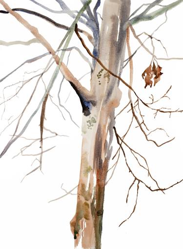 Print of Minimalism Tree Paintings by Elizabeth Becker