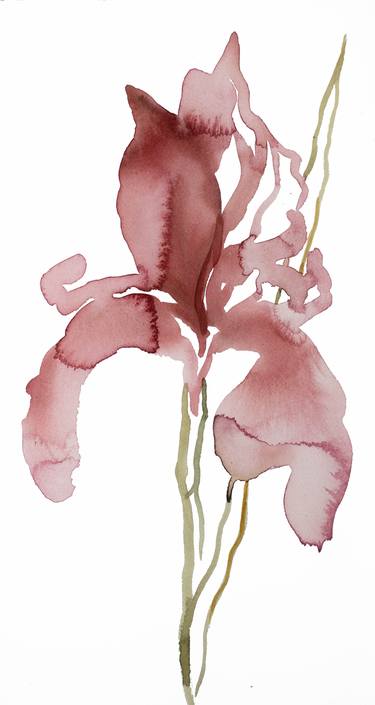 Original Expressionism Botanic Paintings by Elizabeth Becker