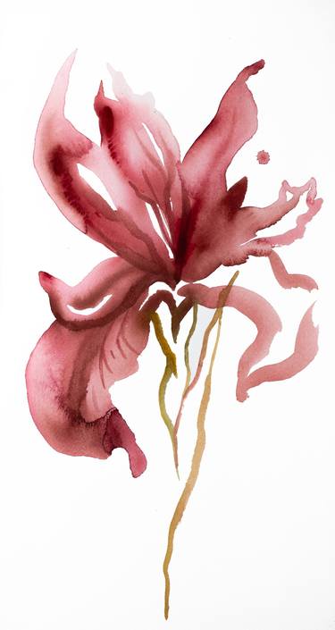 Original Botanic Paintings by Elizabeth Becker