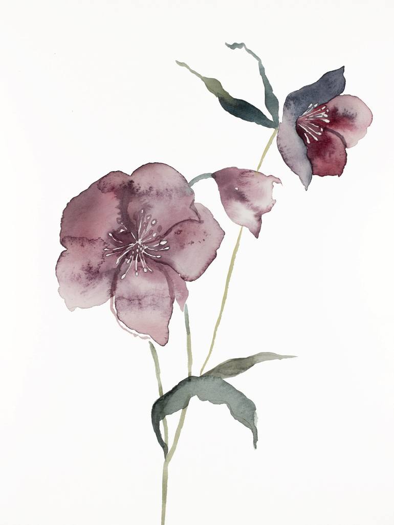 Hellebore No. 14 Painting by Elizabeth Becker | Saatchi Art