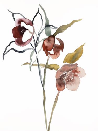 Original Botanic Paintings by Elizabeth Becker