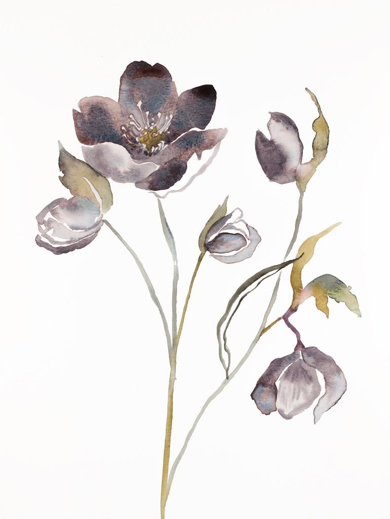 Hellebore No. 17 Painting by Elizabeth Becker | Saatchi Art