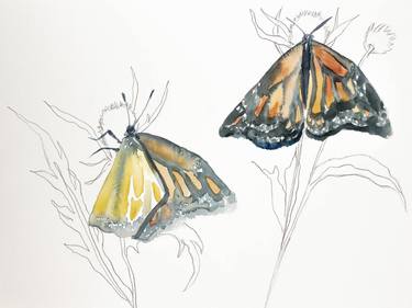 Monarch Study No. 10 thumb