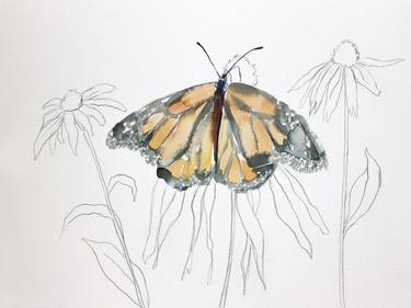 Monarch Study No. 12 thumb