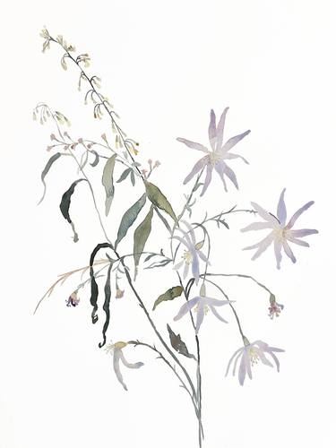 Original Botanic Paintings by Elizabeth Becker