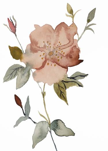 Original Minimalism Botanic Paintings by Elizabeth Becker