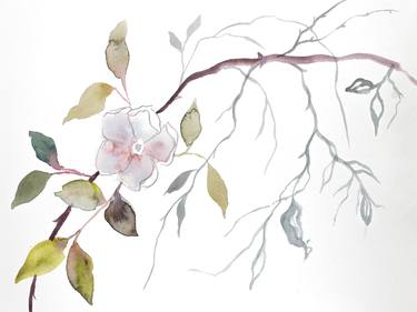 Print of Minimalism Floral Paintings by Elizabeth Becker