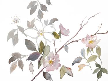 Wild Rose No. 20 thumb