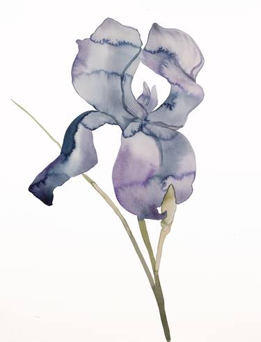 Print of Expressionism Botanic Paintings by Elizabeth Becker