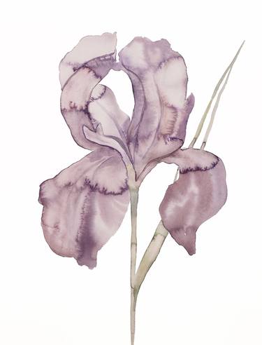 Original Floral Paintings by Elizabeth Becker