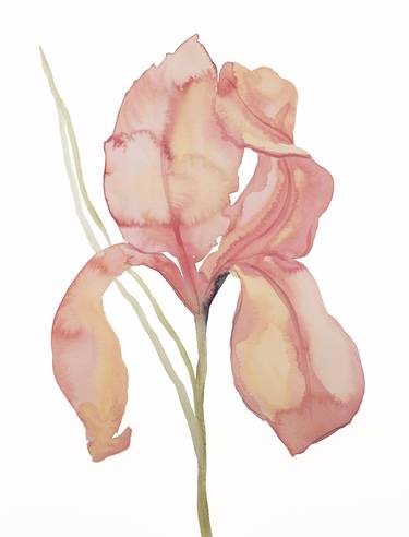 Print of Expressionism Floral Paintings by Elizabeth Becker