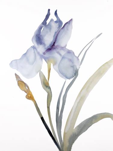 Original Floral Paintings by Elizabeth Becker