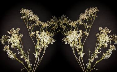 Original Floral Photography by Joann Milano Neal