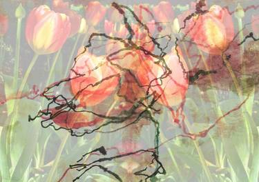 Original Abstract Floral Photography by Joann Milano Neal