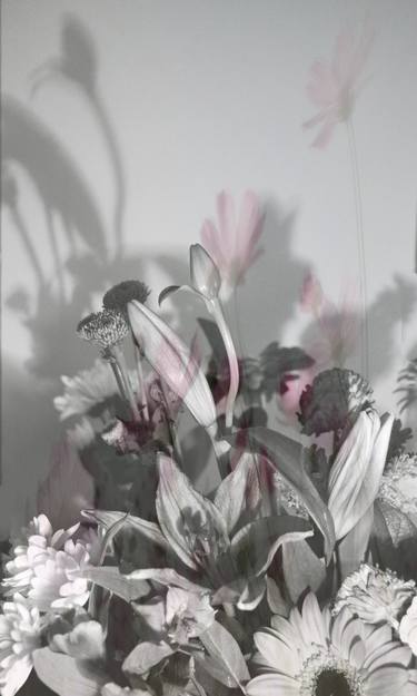 Original Fine Art Floral Photography by Joann Milano Neal