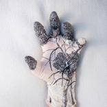 By transpiring nature we transpire health by Tatiana Blanque